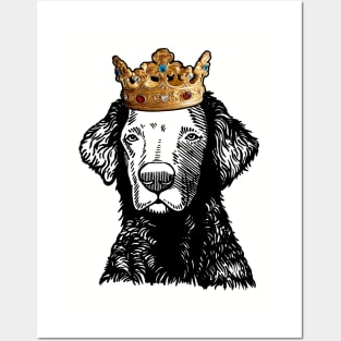 Curly-Coated Retriever Dog King Queen Wearing Crown Posters and Art